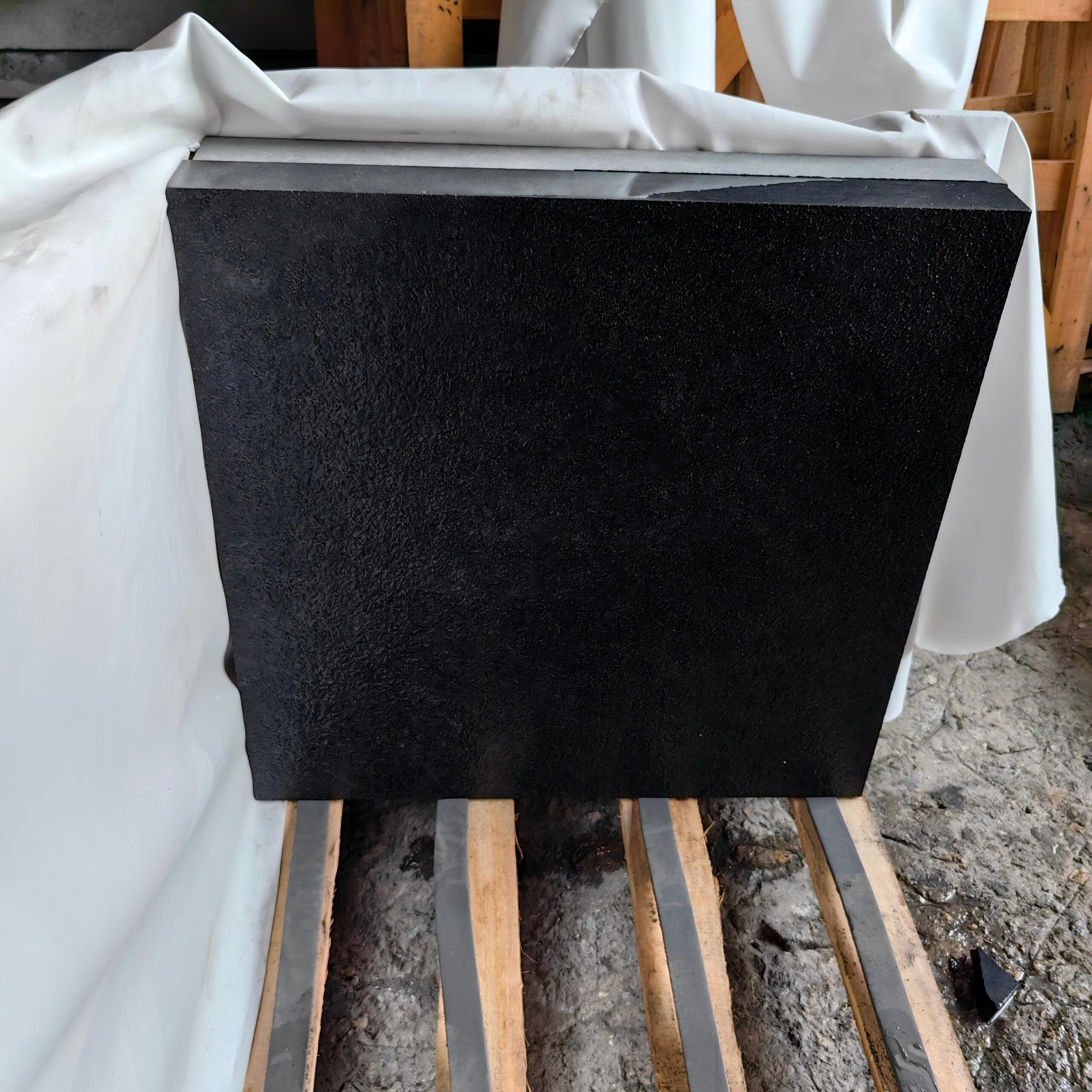 IMG_20230820_081538(1)