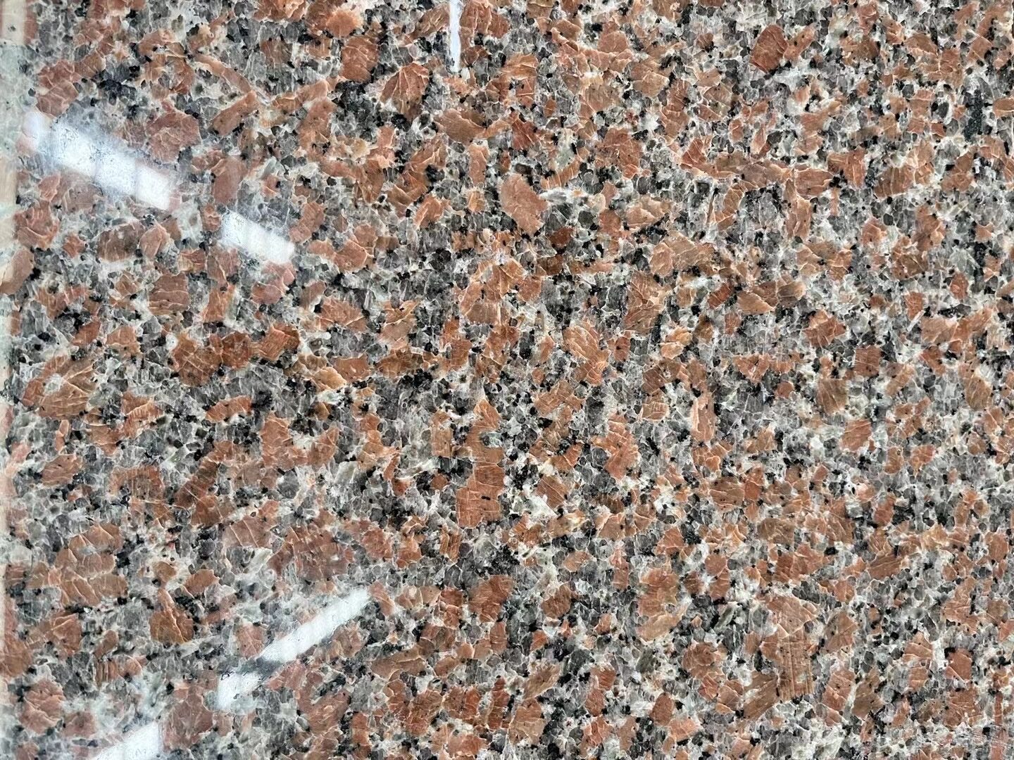 308872097_142658585153656_6443121725781580327_n